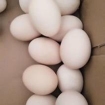 土鸡蛋食用50~60g