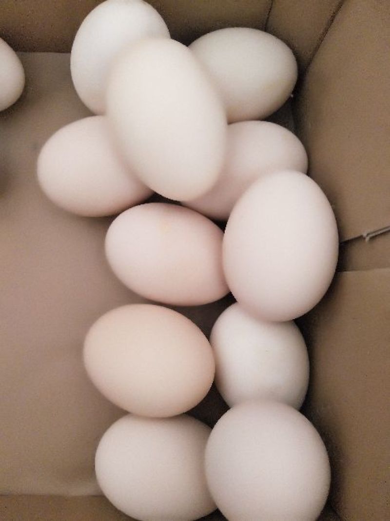 土鸡蛋食用50~60g