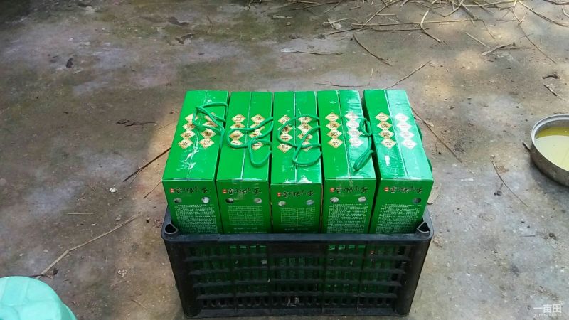 鸡蛋《绿壳土鸡蛋》散养
