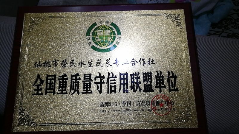 【精选】茭白种苗荣民双季特早熟茭白苗产地直供量大供应