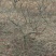 江西吴茱萸一年苗高35Cm以上基地供应苗纯成活高