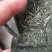 古丈毛尖，湘西黄金茶，高山有机茶，零售批发，价格优美