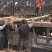 山西占地苹果树，10-15-20公分运城苹果树量大价低