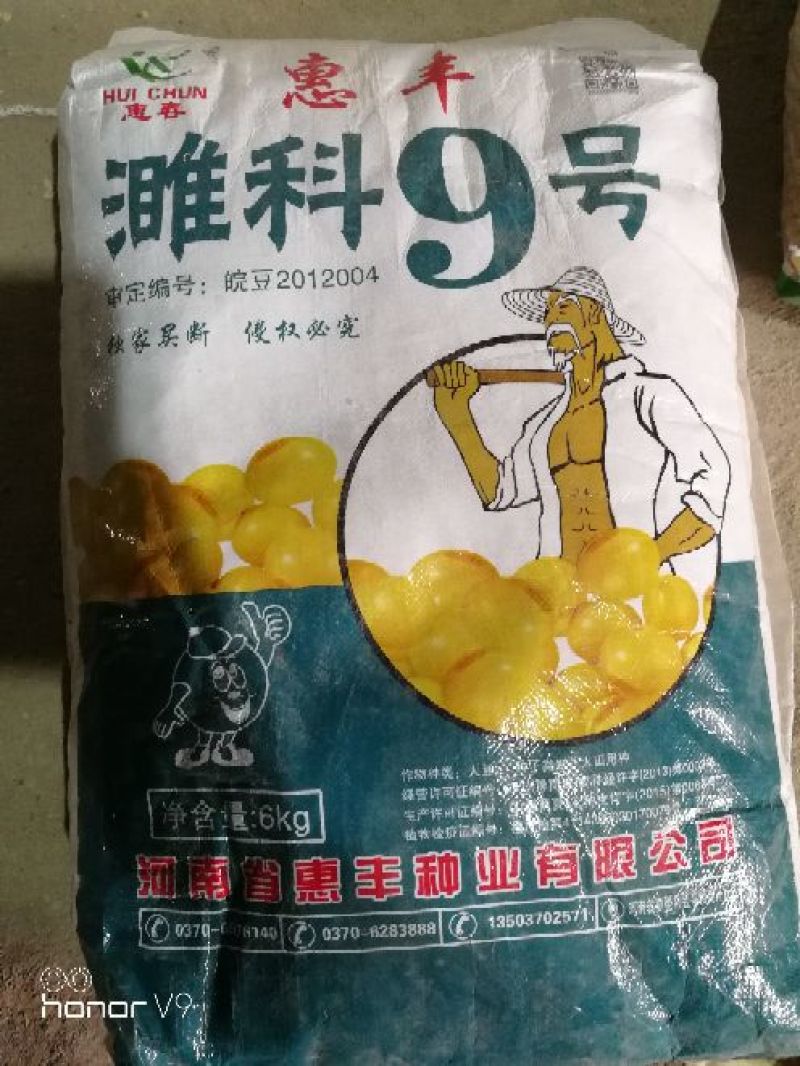 精选大豆黄豆种子中黄系列产量高出油率高抗性好耐贫瘠强