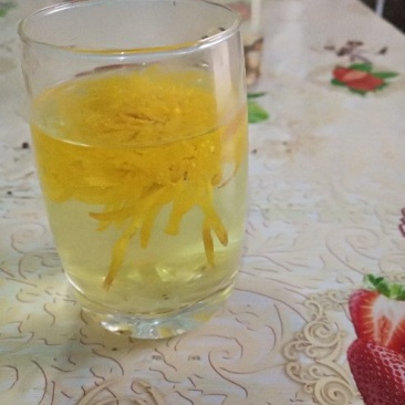 菊花茶特级