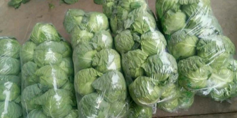 【荐】甘蓝中甘甘蓝河北中甘甘蓝货量充足产地直发视频看货