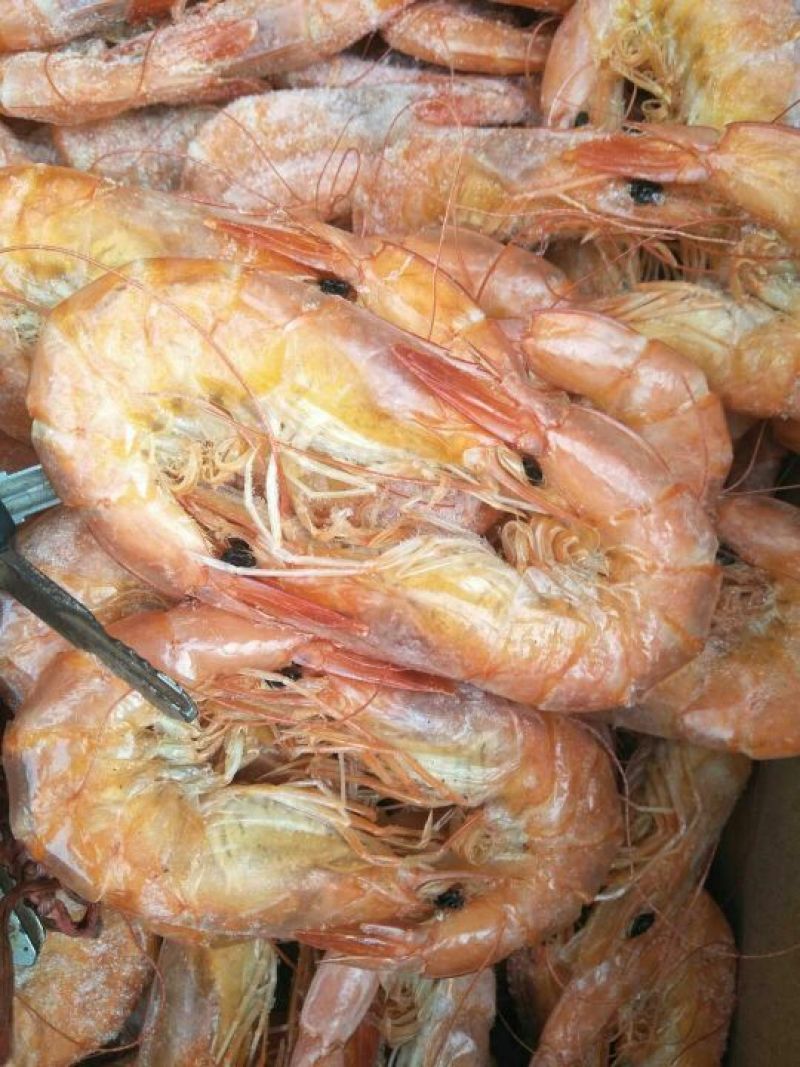 对虾食用冻虾