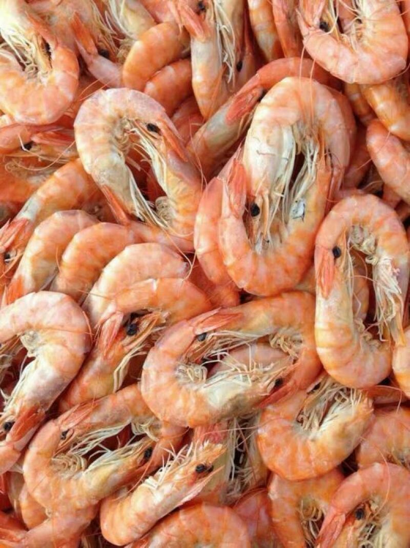 对虾食用冻虾
