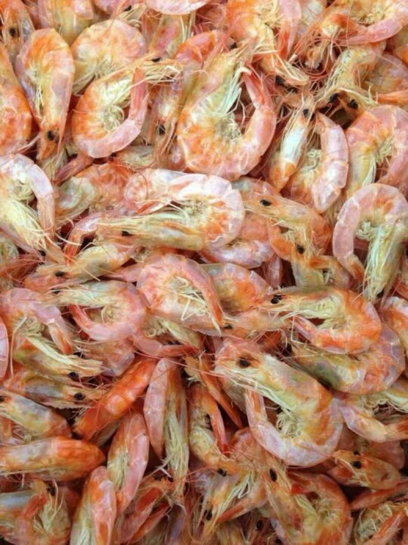对虾食用冻虾