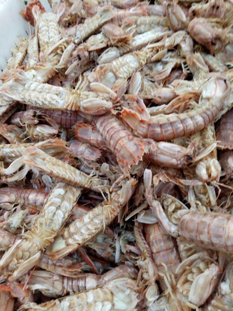 对虾食用冻虾
