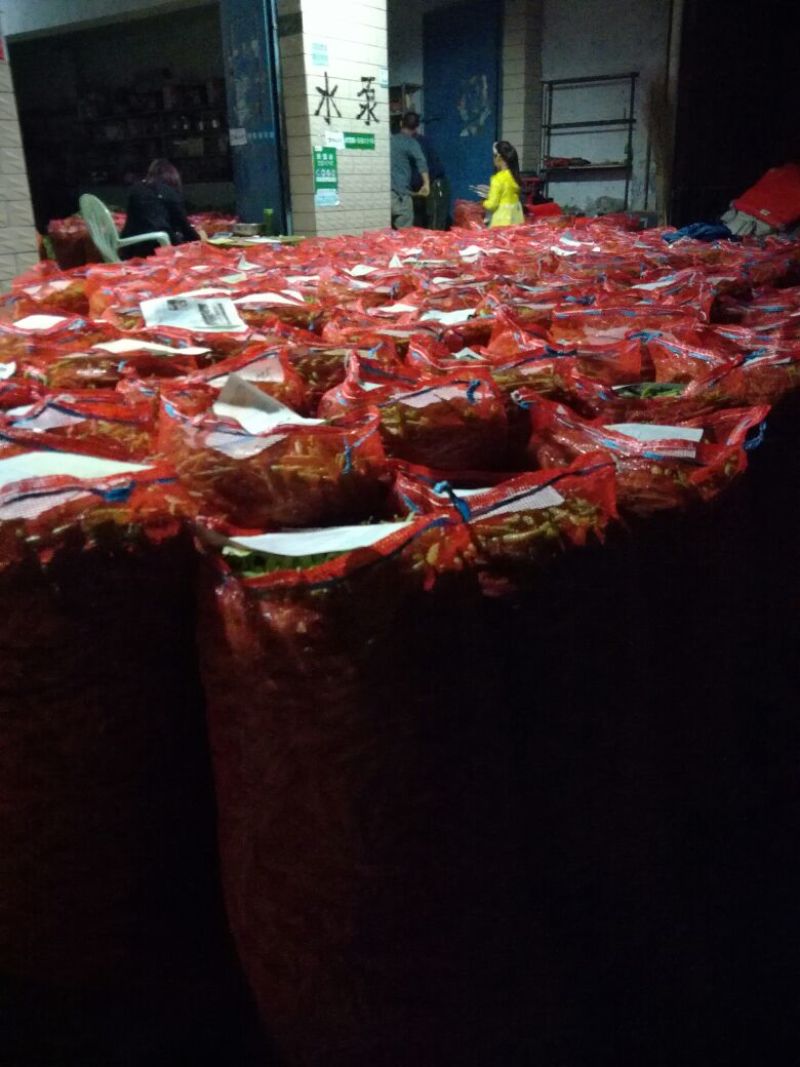 湖北青豌豆、豌豆青秀饱满、️产地直发，货源充足