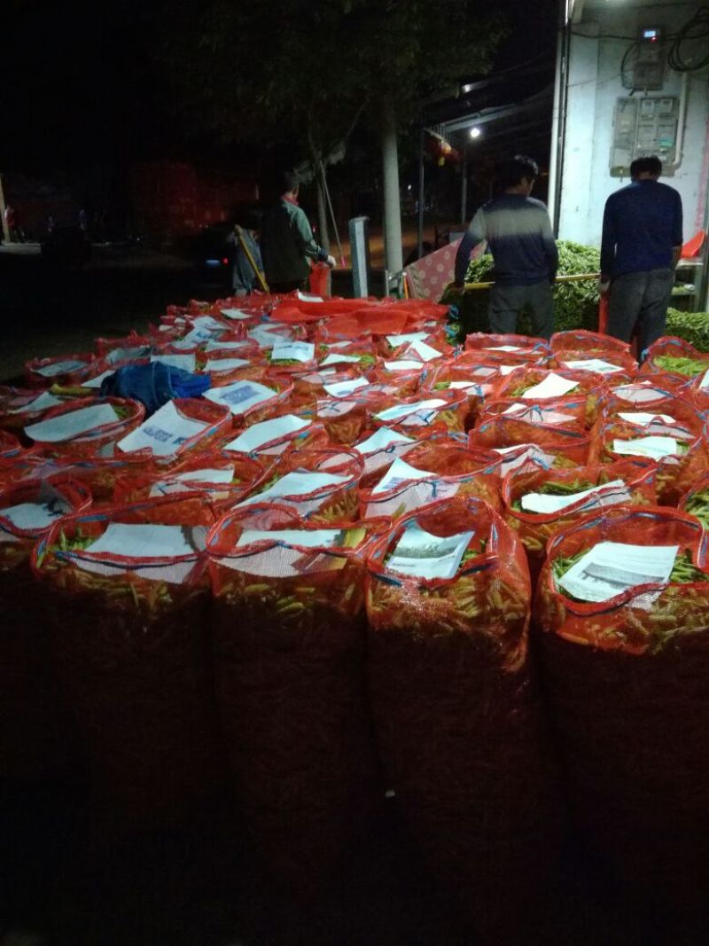 湖北青豌豆、豌豆青秀饱满、️产地直发，货源充足