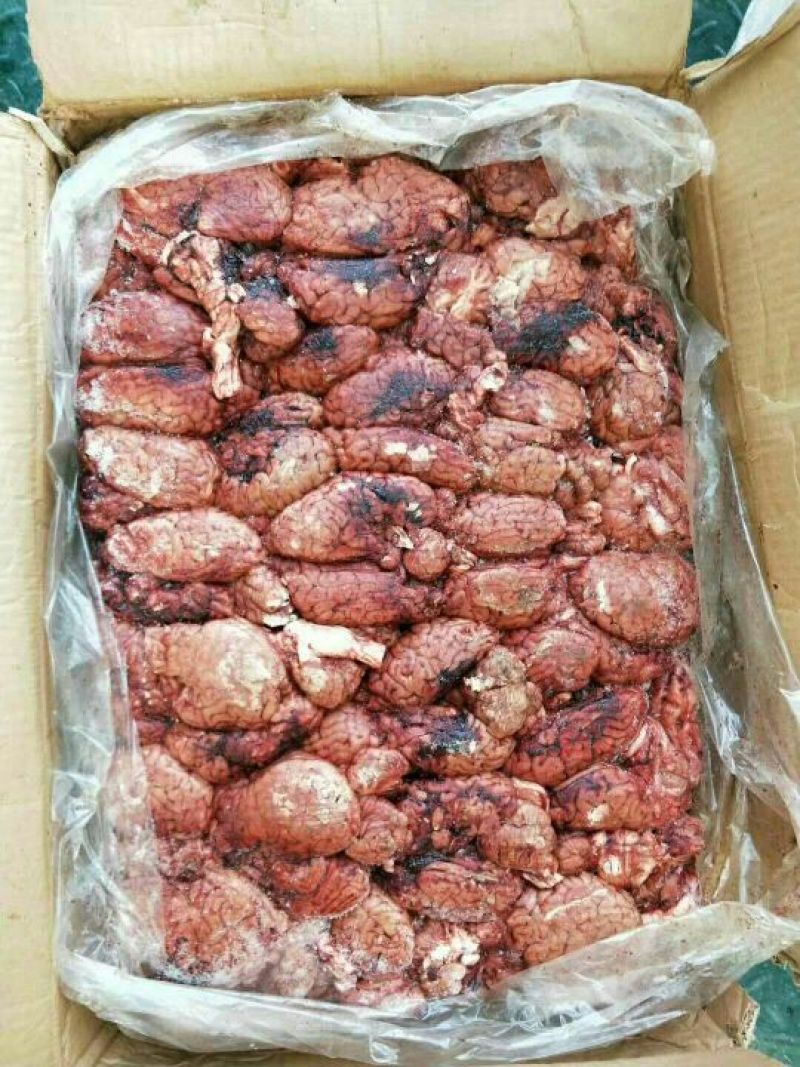 驴肉冻货请选购优质驴肉马肉板肠下水