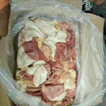 驴肉冻货请选购优质驴肉马肉板肠下水