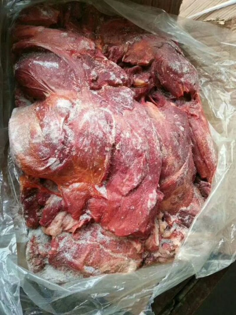 驴肉冻货请选购优质驴肉马肉板肠下水