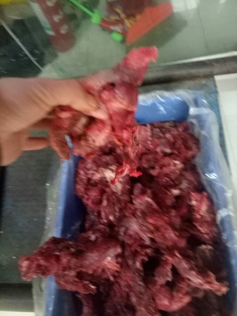 驴肉冻货请选购优质驴肉马肉板肠下水