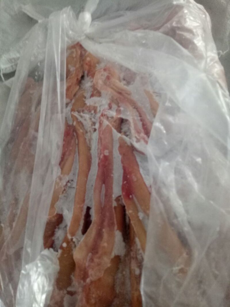 驴肉冻货请选购优质驴肉马肉板肠下水