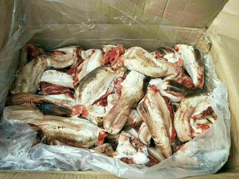 驴肉冻货请选购优质驴肉马肉板肠下水