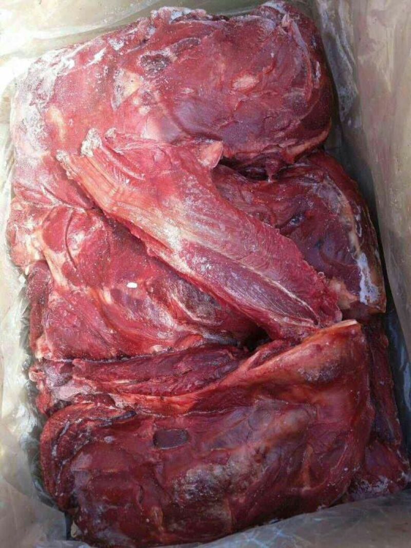 驴肉冻货请选购优质驴肉马肉板肠下水