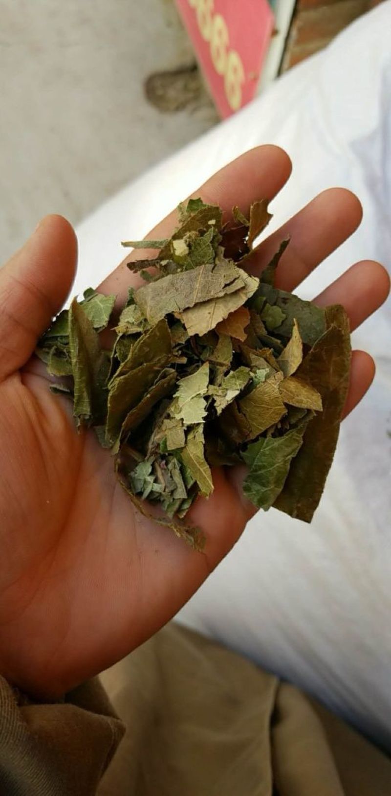 枇杷叶青统