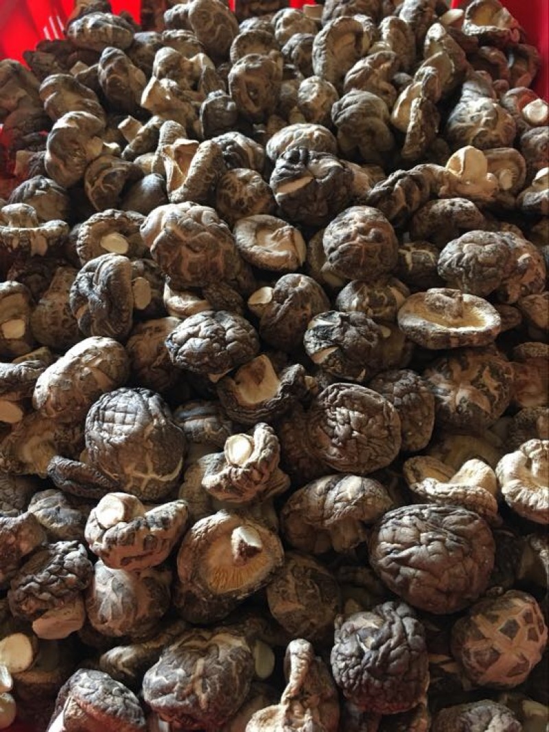 茶花菇光面干香菇以质论价冬菇肉厚自产自销