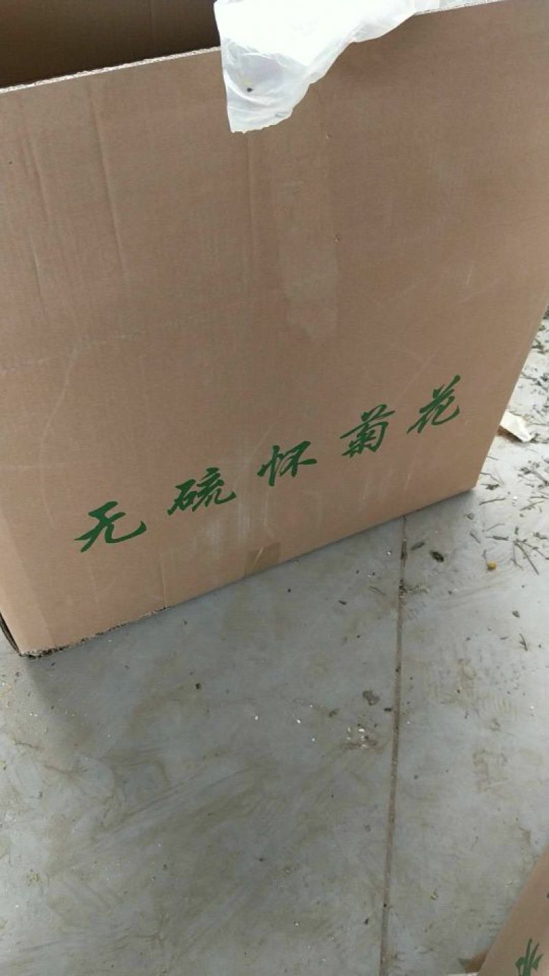 怀菊花散装