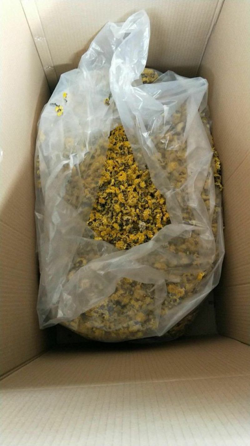 怀菊花散装