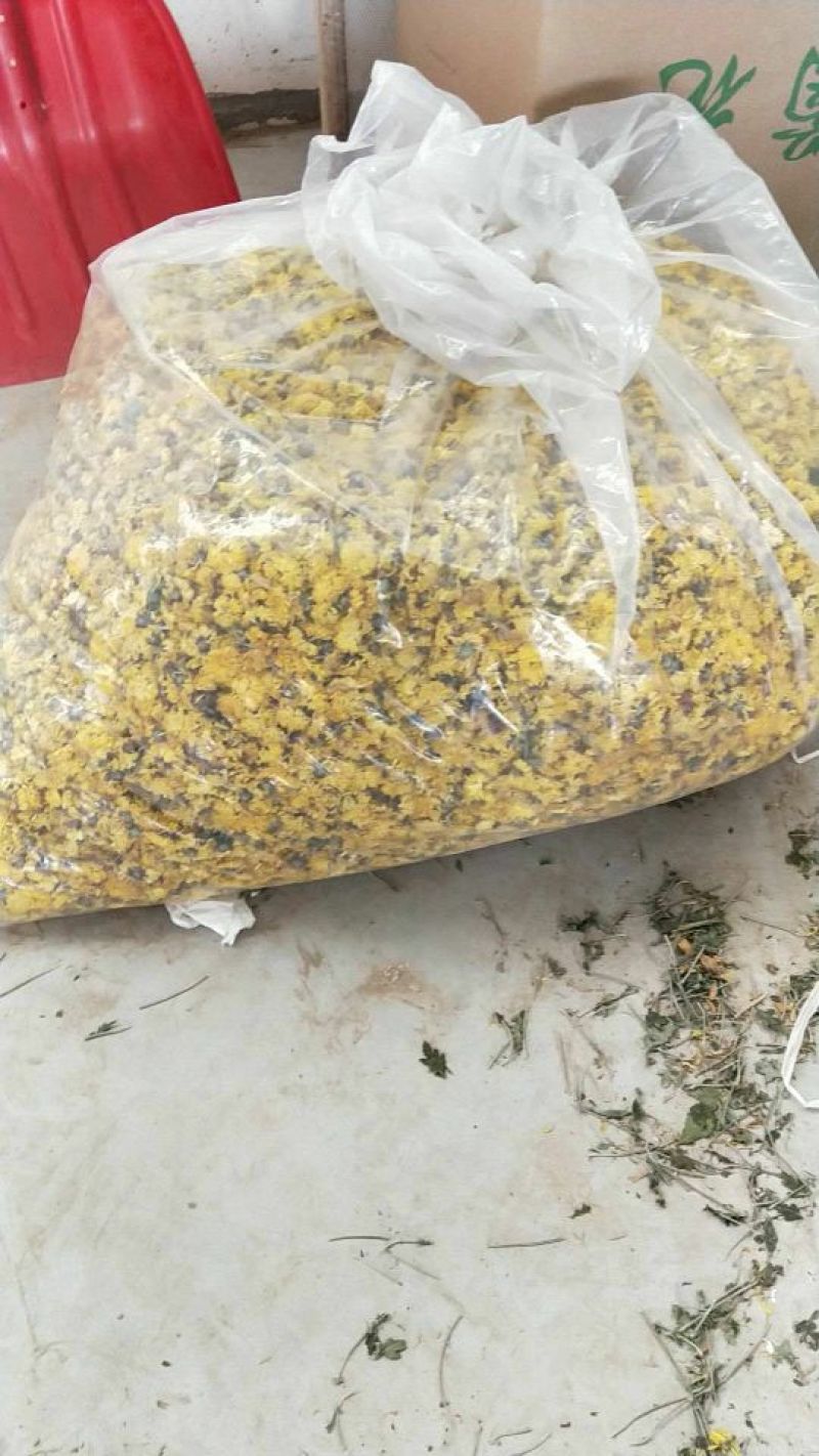 怀菊花散装
