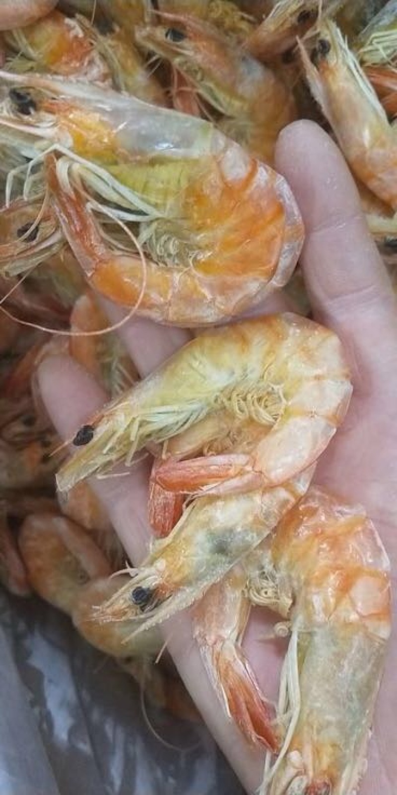 虾干30~40