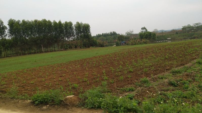 有林地耕地种植