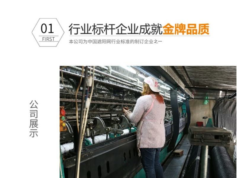 遮阳网