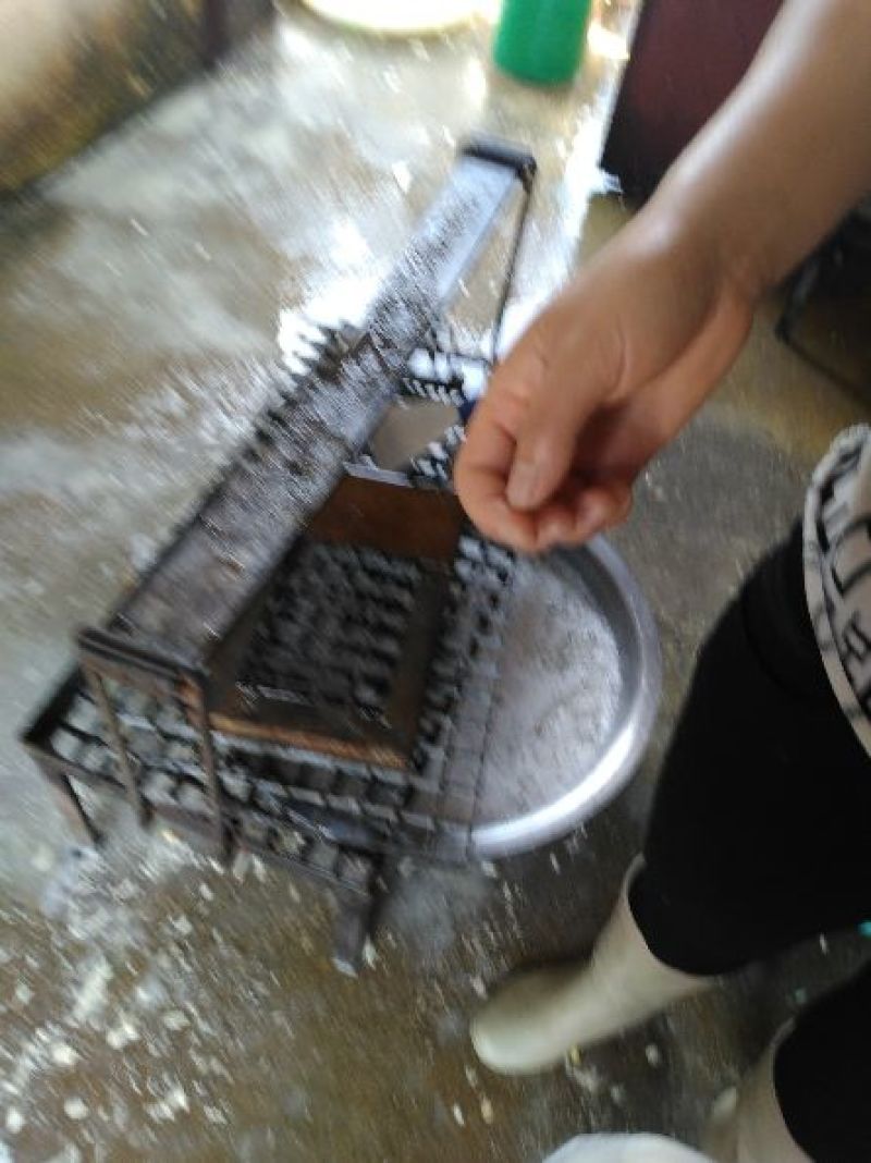 豆腐湿豆腐