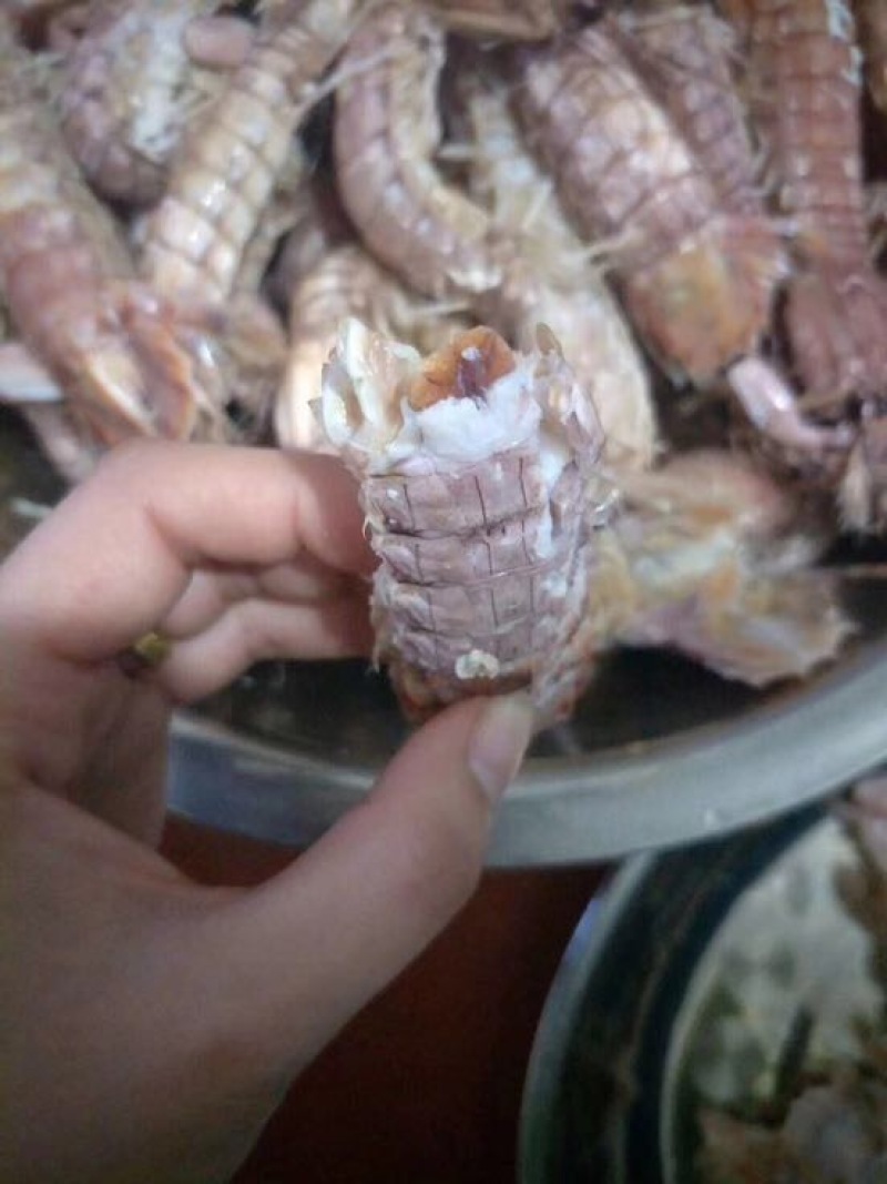 皮皮虾活虾