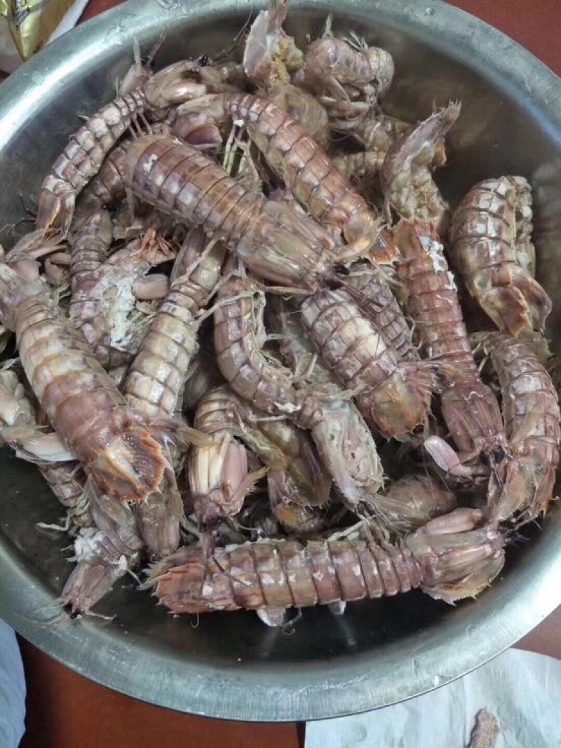 皮皮虾活虾