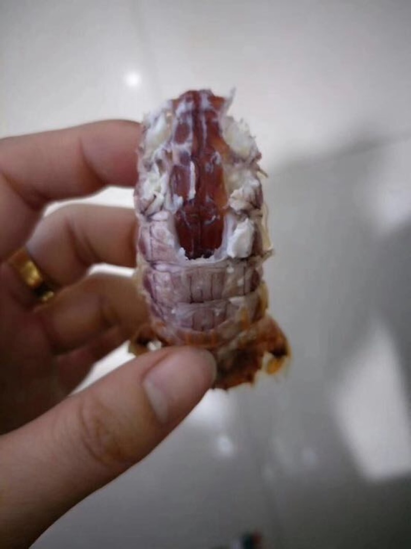 皮皮虾活虾
