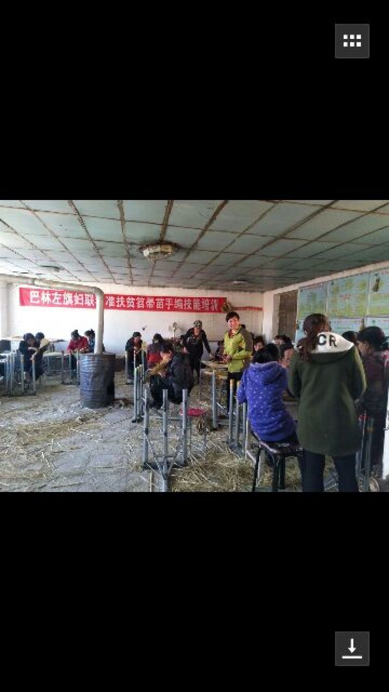 笤帚苗子绿色清洁厨具，可以定制
