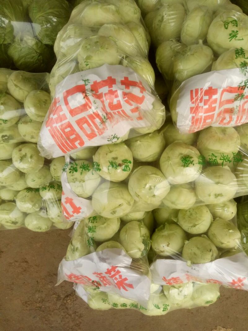 苤蓝1斤以上扁园形状，质量非常好，有需要的联系