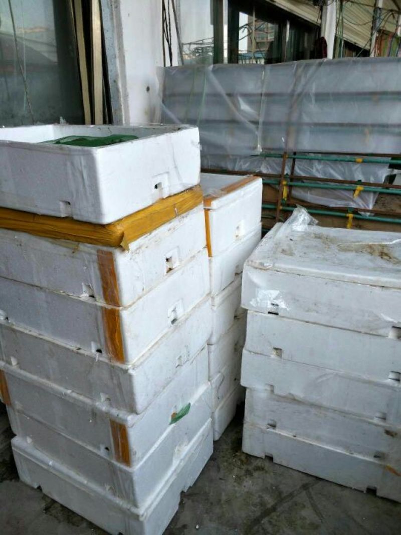 牛蛙，蛙类，大量价优，品质优量，物美价廉