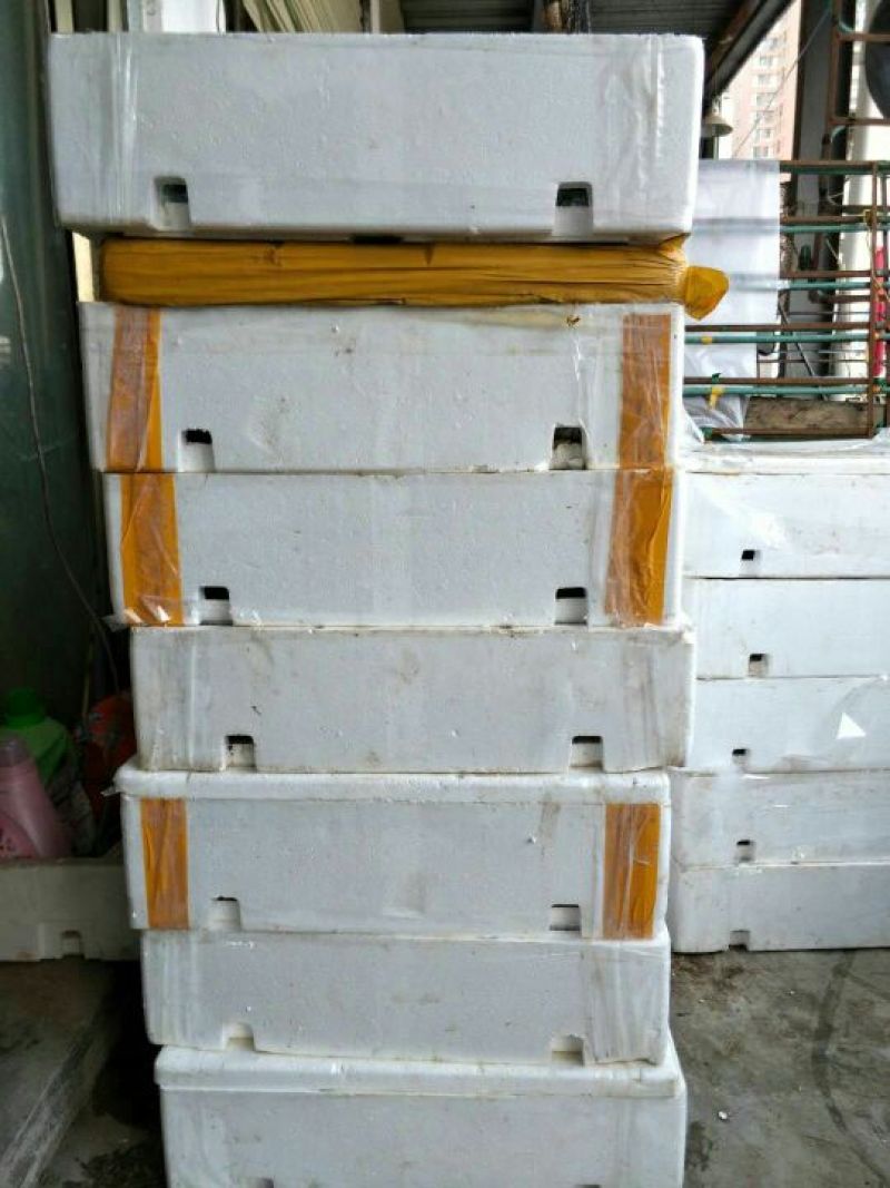 牛蛙，蛙类，大量价优，品质优量，物美价廉