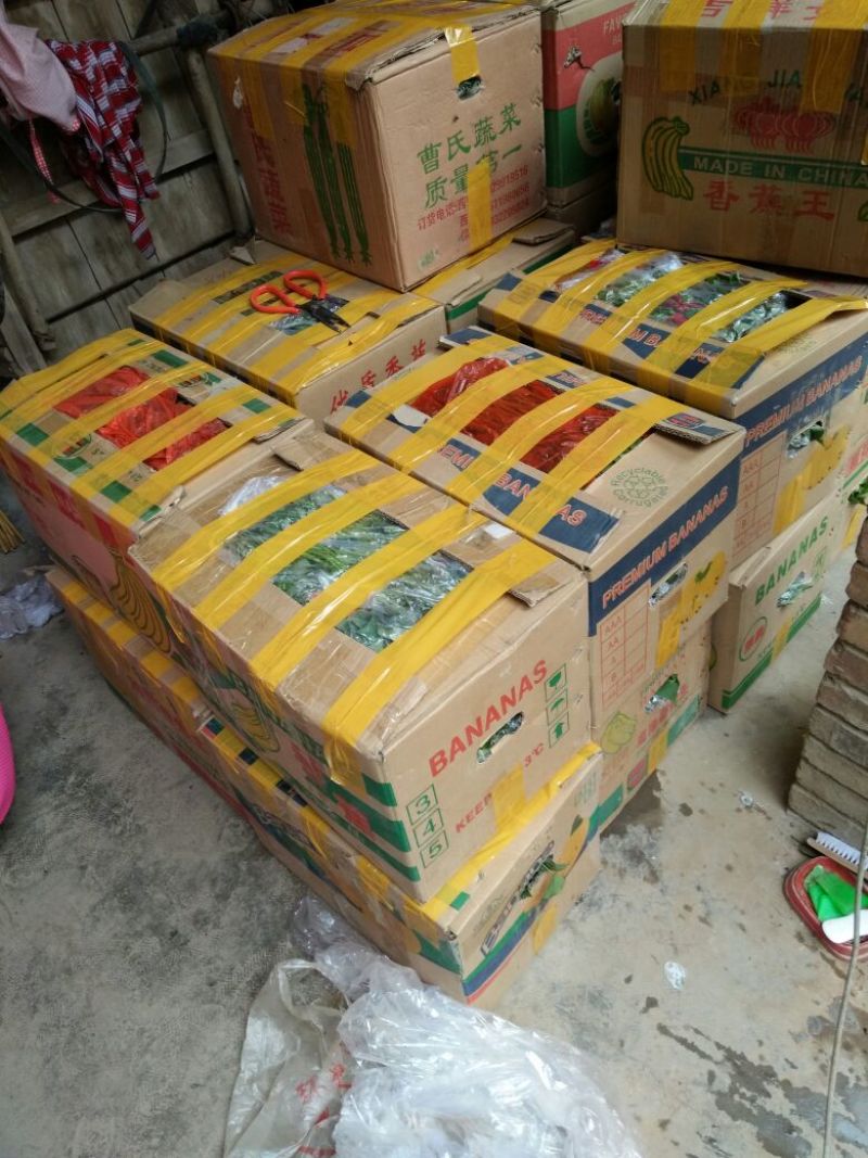 4杨凌优质脱毒红薯苗秦薯4号，秦薯5号，西瓜红，紫薯