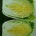 菊锦春白菜净菜4~6斤