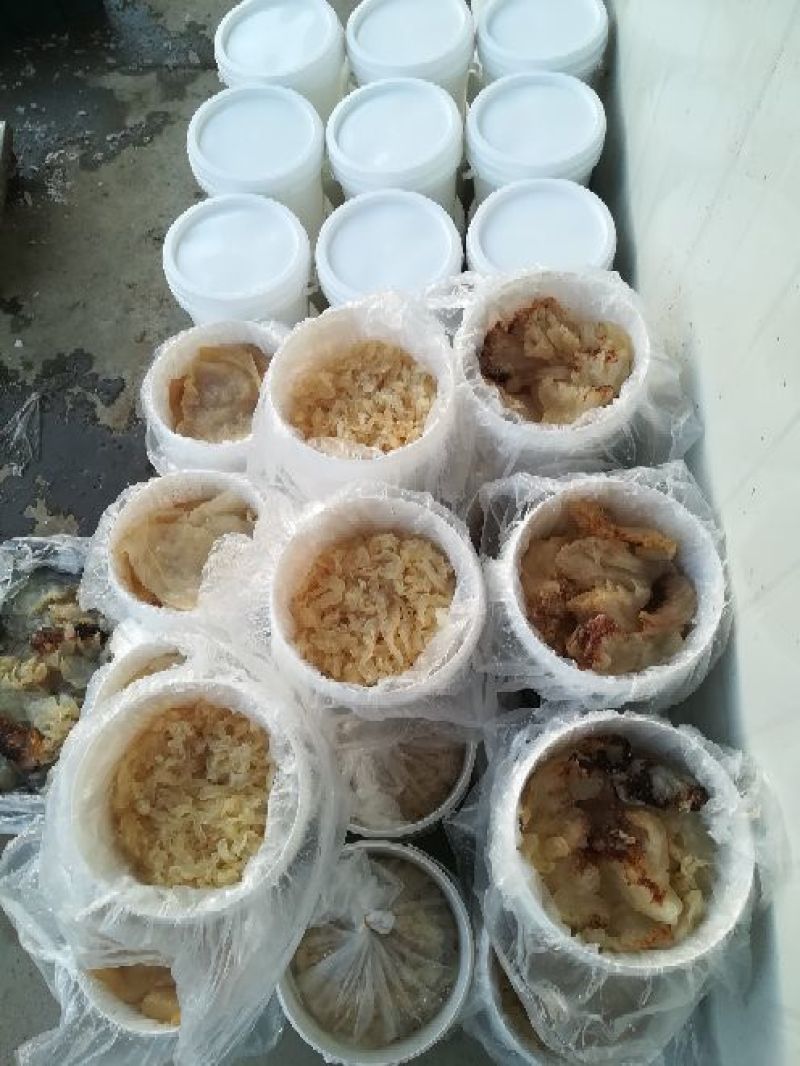批发团购福利海蜇头腌渍海蜇加工老醋蛰头食材鲜活非即食