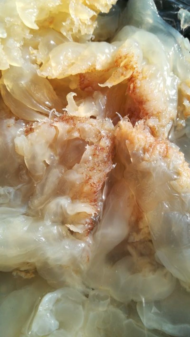 批发团购福利海蜇头腌渍海蜇加工老醋蛰头食材鲜活非即食