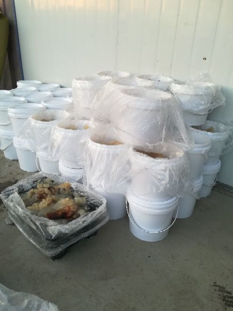 批发团购福利海蜇头腌渍海蜇加工老醋蛰头食材鲜活非即食