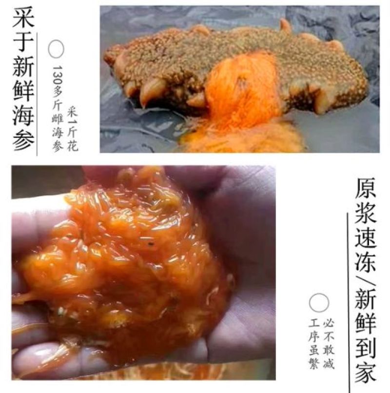 常年批发零售速冻海参花海参卵