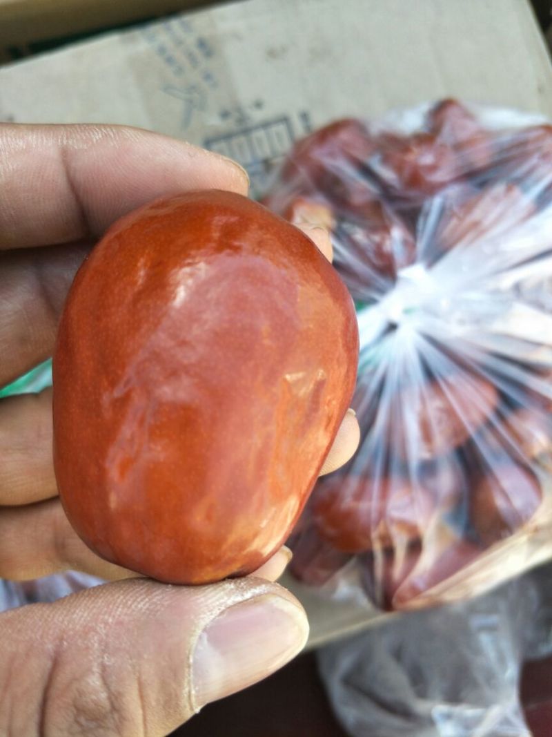红枣一级干枣