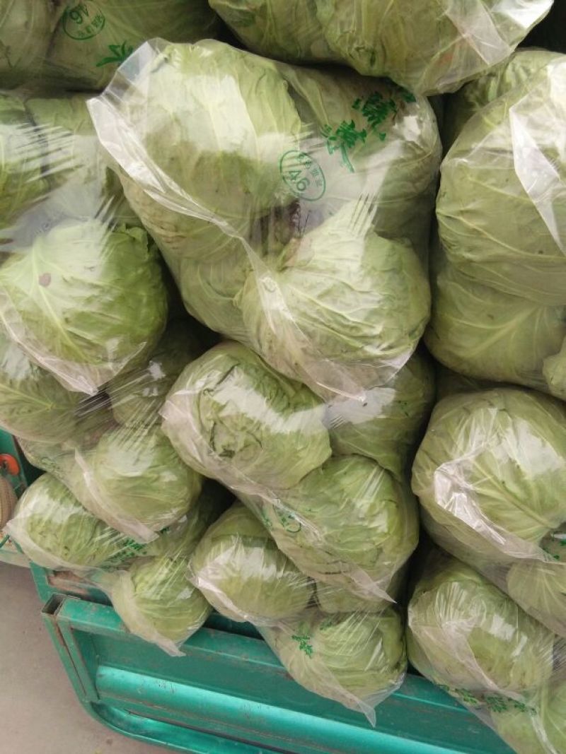 绿甘蓝1~2公斤精品。走超市，加工厂品质保障可视频