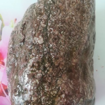 毛石化石