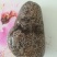 毛石化石