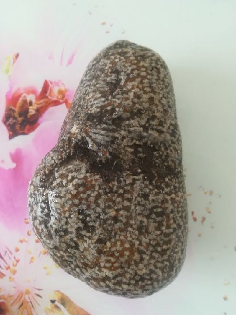毛石化石